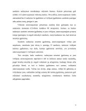 Sandorių sudarymas kito asmens vardu neturint įgalinimų ar juos viršijant 9 puslapis