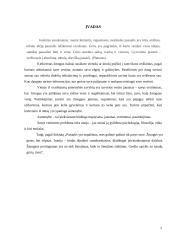 Savęs vertinimo ypatybės 2 puslapis