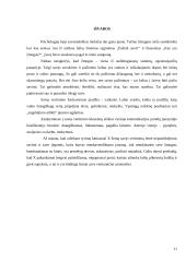 Savęs vertinimo ypatybės 11 puslapis