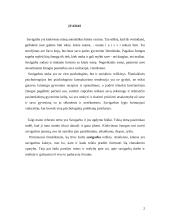 Savigarba ir jos ugdymo būdai 2 puslapis