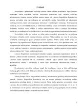 Savivaldybių veikla bei funkcijos 2 puslapis