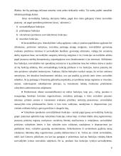 Savivaldybių veikla bei funkcijos 5 puslapis