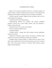 Savižudybės fenomenas 7 puslapis