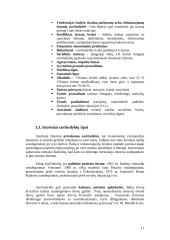 Savižudybių problema 11 puslapis