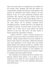 N. Elias "Rūmų dvaro visuomenė": Prestižo reikšmė aristokratui 3 puslapis