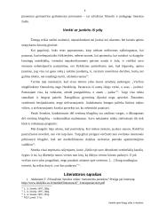 Seneka apie blogį, ydas ir dorybes 8 puslapis