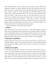 Skyrybų įtaka vaikams 4 puslapis