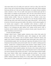 Skyrybų įtaka vaikams 8 puslapis