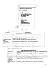 SLA – paslaugų kokybės sutartis 3 puslapis