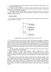 SLA – paslaugų kokybės sutartis 6 puslapis