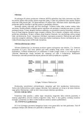 SLA – paslaugų kokybės sutartis 7 puslapis
