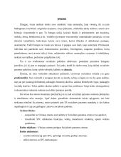 Socialinės paramos centro (SPC) funkcijos, veikla, struktūra, veiklos problemos 2 puslapis