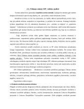 Socialinės paramos centro (SPC) funkcijos, veikla, struktūra, veiklos problemos 11 puslapis