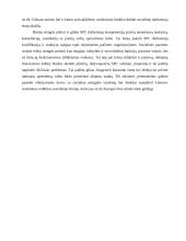 Socialinės paramos centro (SPC) funkcijos, veikla, struktūra, veiklos problemos 15 puslapis