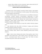 Socialinės paramos centro (SPC) funkcijos, veikla, struktūra, veiklos problemos 3 puslapis