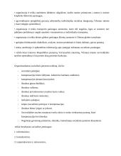 Socialinės paramos centro (SPC) funkcijos, veikla, struktūra, veiklos problemos 7 puslapis