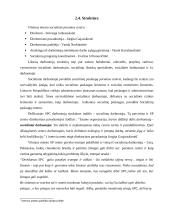 Socialinės paramos centro (SPC) funkcijos, veikla, struktūra, veiklos problemos 9 puslapis