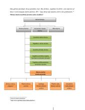 Socialinės paramos centro (SPC) funkcijos, veikla, struktūra, veiklos problemos 10 puslapis
