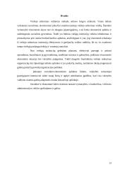 Socialinės–ekonominės aplinkos poveikis viešajam sektoriui 13 puslapis