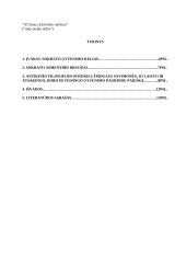 Sokrato gyvenimas ir filosofija 2 puslapis