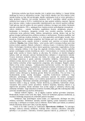 Stebėjimas 2 puslapis