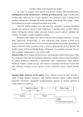 Stresai organizacijoje ir jų valdymas 14 puslapis