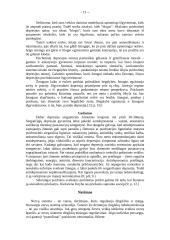 Stresas, depresija ir nerimas 13 puslapis