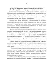 STT pareigūno teisinė padėtis 3 puslapis