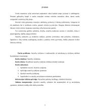 Sutarties vykdymas ir atsakomybė už netinkamą jos vykdymą 3 puslapis