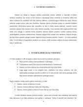 Sutarties vykdymas ir atsakomybė už netinkamą jos vykdymą 4 puslapis