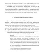 Sutarties vykdymas ir atsakomybė už netinkamą jos vykdymą 7 puslapis