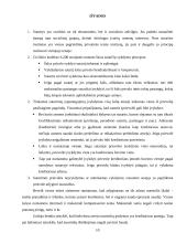 Sutarties vykdymas ir atsakomybė už netinkamą jos vykdymą 10 puslapis