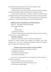 Sutartinė civilinė atsakomybė 7 puslapis