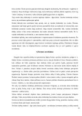 Suvokimo samprata 11 puslapis