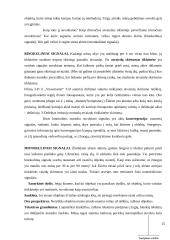 Suvokimo samprata 13 puslapis