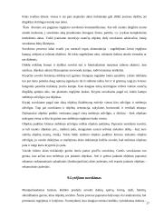 Suvokimo samprata 15 puslapis