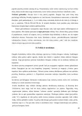 Suvokimo samprata 18 puslapis
