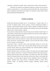 Suvokimo samprata 9 puslapis
