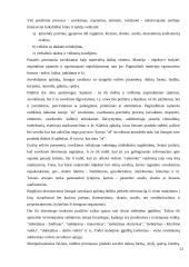 Suvokimo samprata 10 puslapis