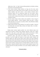 Suvokimo psichologija 10 puslapis