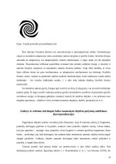 Suvokimo psichologija 13 puslapis