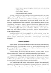 Suvokimo psichologija 15 puslapis