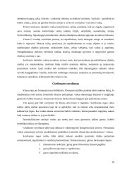 Suvokimo psichologija 17 puslapis