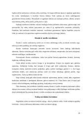 Suvokimo psichologija 19 puslapis