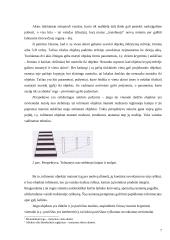 Suvokimo psichologija 6 puslapis