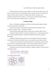 Suvokimo psichologija 8 puslapis