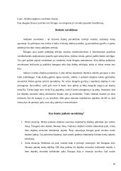 Suvokimo psichologija 9 puslapis