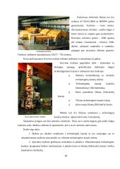 Branduolinė energetika Lietuvoje 19 puslapis