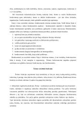 Šeimos kūrimo principai ir motyvacija 3 puslapis