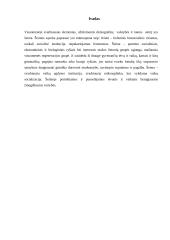 Šeimos teisiniai aspektai 2 puslapis